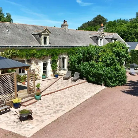 Roche-loire Dom wakacyjny Le Thoureil